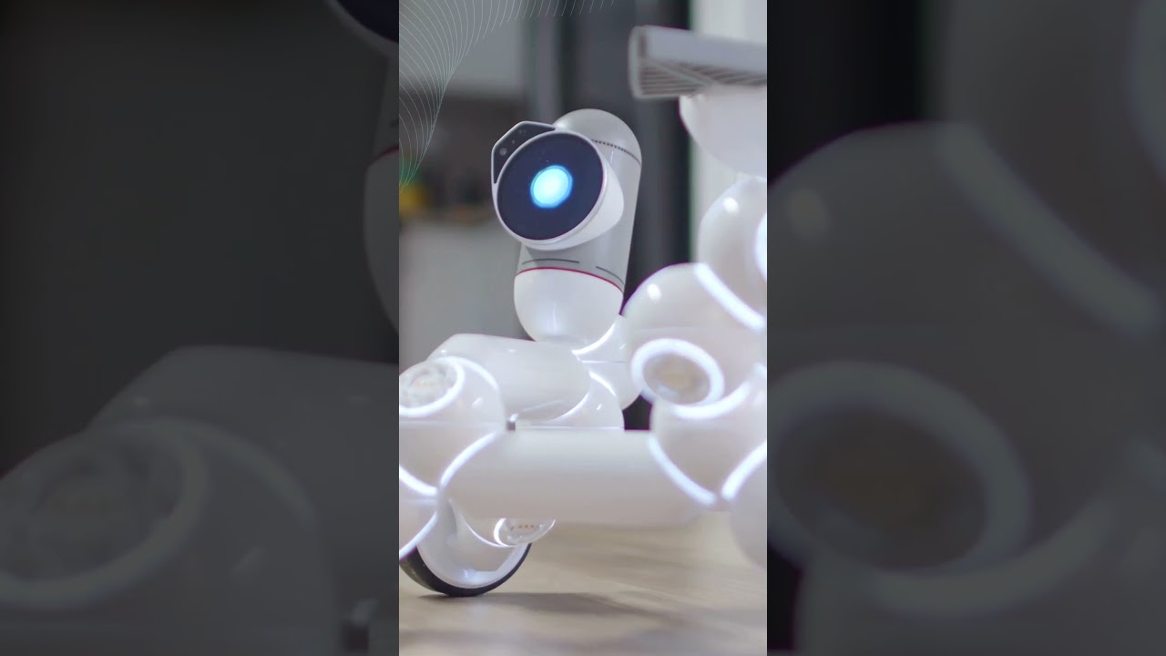 ScienceFather | Academic Leadership in Network Protocols Award