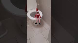 I Found My Elf Pooping
