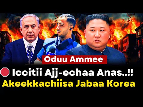 Oduu Ammee Iccitii Ajj Echaa Anas Al Sharif Akeekkachiisa Jabaa Korea