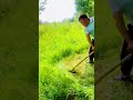 cool skill of cutting weeds in the garden #shorts
