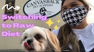 Raw Diet for Shih Tzu | Switching from Kibble to Raw Dog Food by Chase the Shih Tzu 4,924 views 2 years ago 4 minutes, 47 seconds