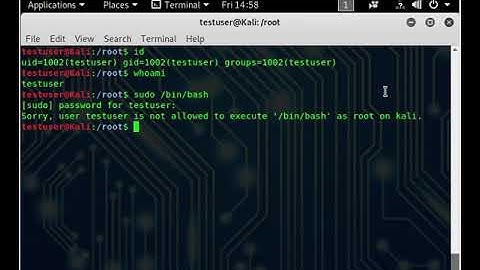 CVE-2019-14287, SUDO security bypass