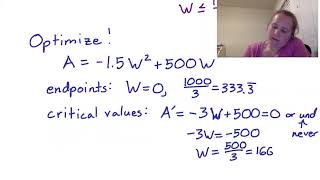 Section 4.3, part 3: An Optimization Example