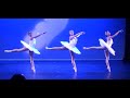 Big Swans || Perry Sevidal Ballet