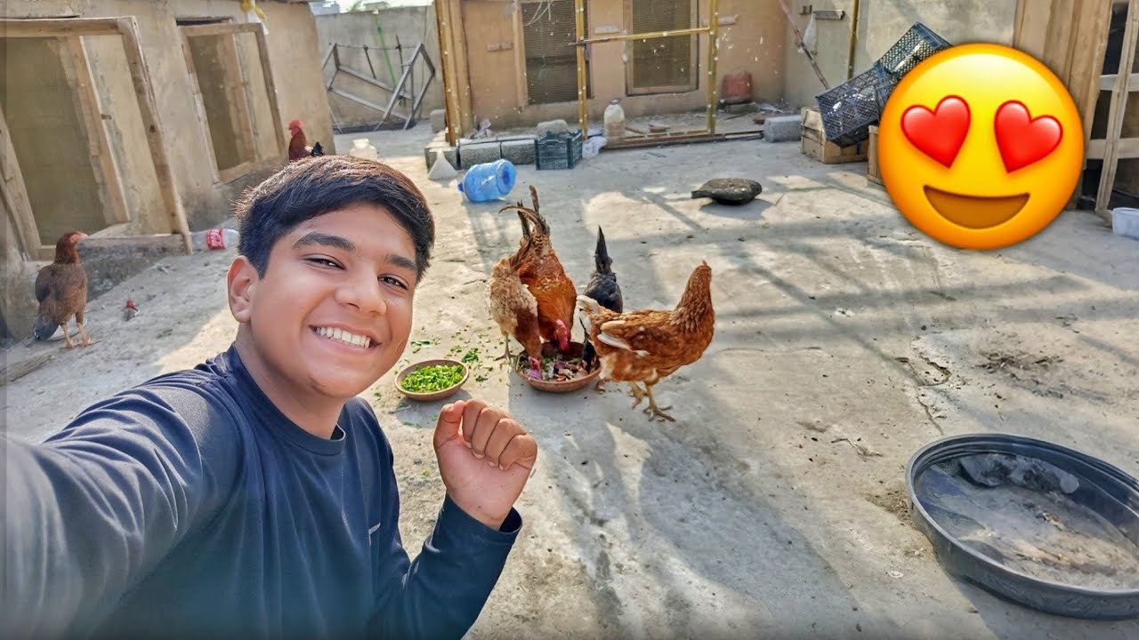 Murgiyon Ki Pehli Azaadi ❤️ | Dekho Unka Reaction Kaisa Tha!