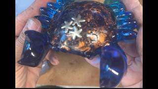 Mr. Crabs from the September Resin Mold Box pays a visit! #resinmoldbox #letsresin