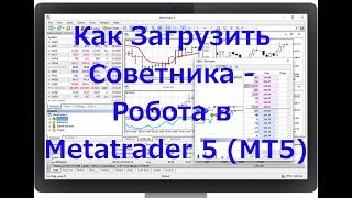 Как загрузить советника - торгового робота в терминал МТ5