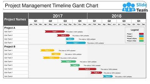 Project Management Timeline Gantt Chart