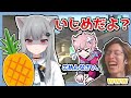 【なちょ猫】思考ROCK内でパイナップル論争勃発【切り抜き】