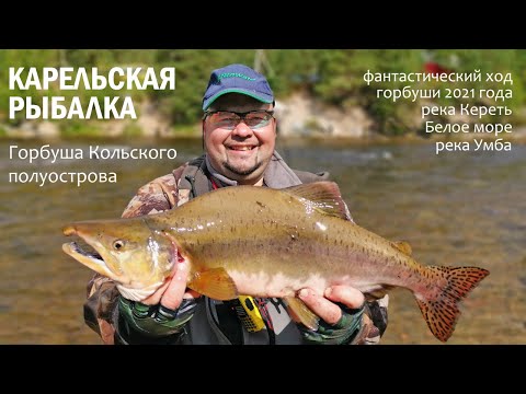 Карельская рыбалка. Горбуша Кольского полуострова.