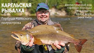 Карельская рыбалка. Горбуша Кольского полуострова.