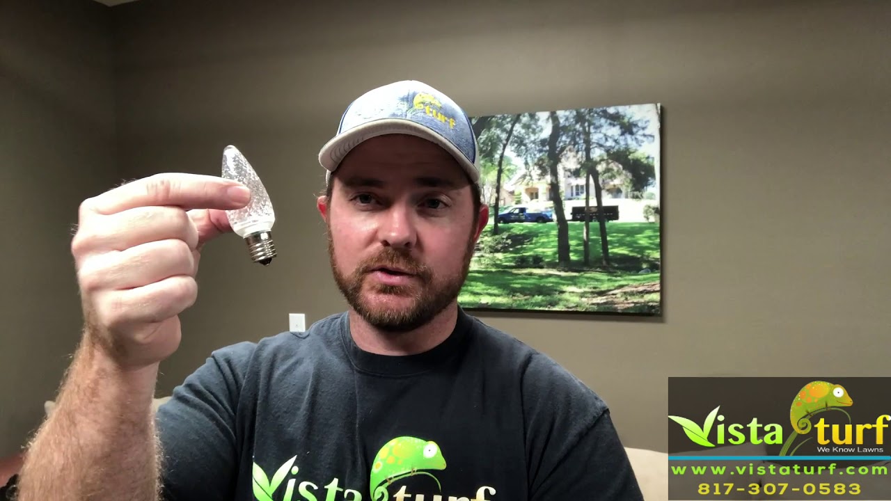 Commercial grade Christmas lights...are they worth it?