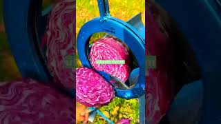 Rangers Fenerbahçe Çekişmesi