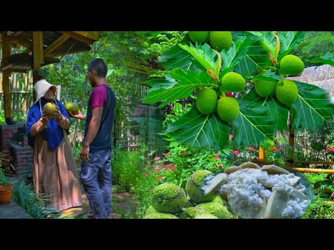 ผลสลากกินแบ่งรัฐบาล วันที่ 1 พย. 2567