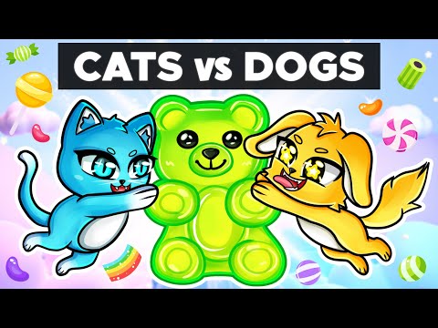 CATS vs DOGS