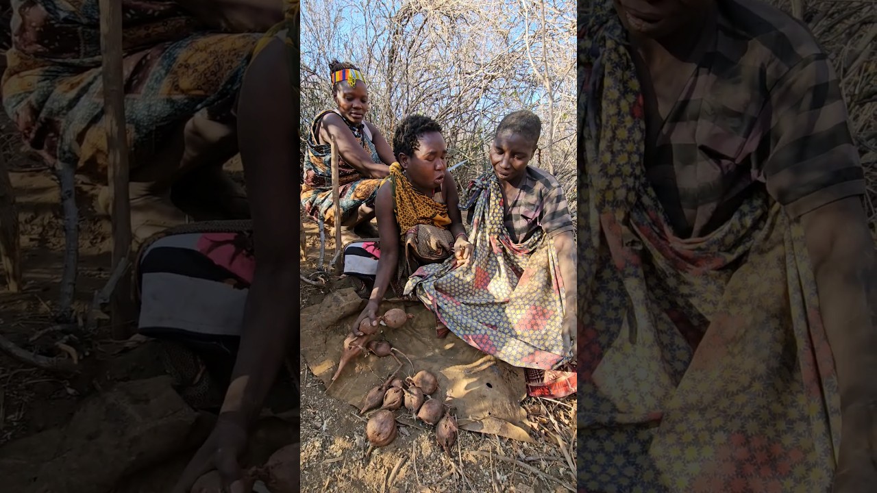 Hadzabw Tribes Women Embrace Wild Root Tubers