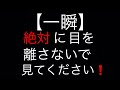 【一瞬】絶対に目を離さないで見てください！やり過ぎ母親の子供虐待⁈ドラレコ映像