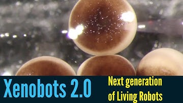 Scientists Create the Next Generation of Living Robots | Xenobots 2.0 | Biological Robot