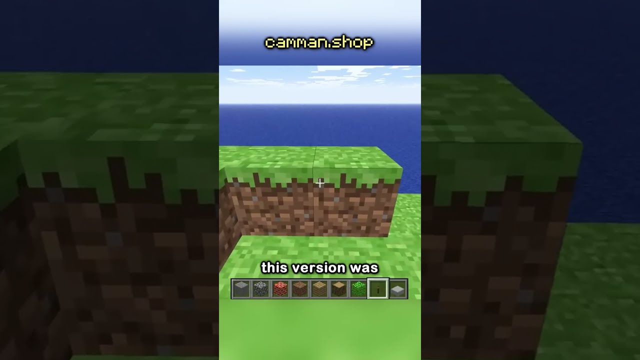 Minecraft Looked Like THIS 