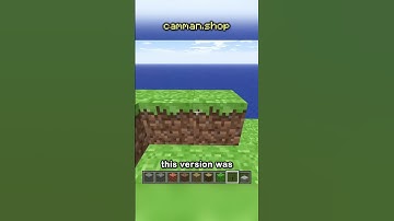 minecraft looked like THIS.
