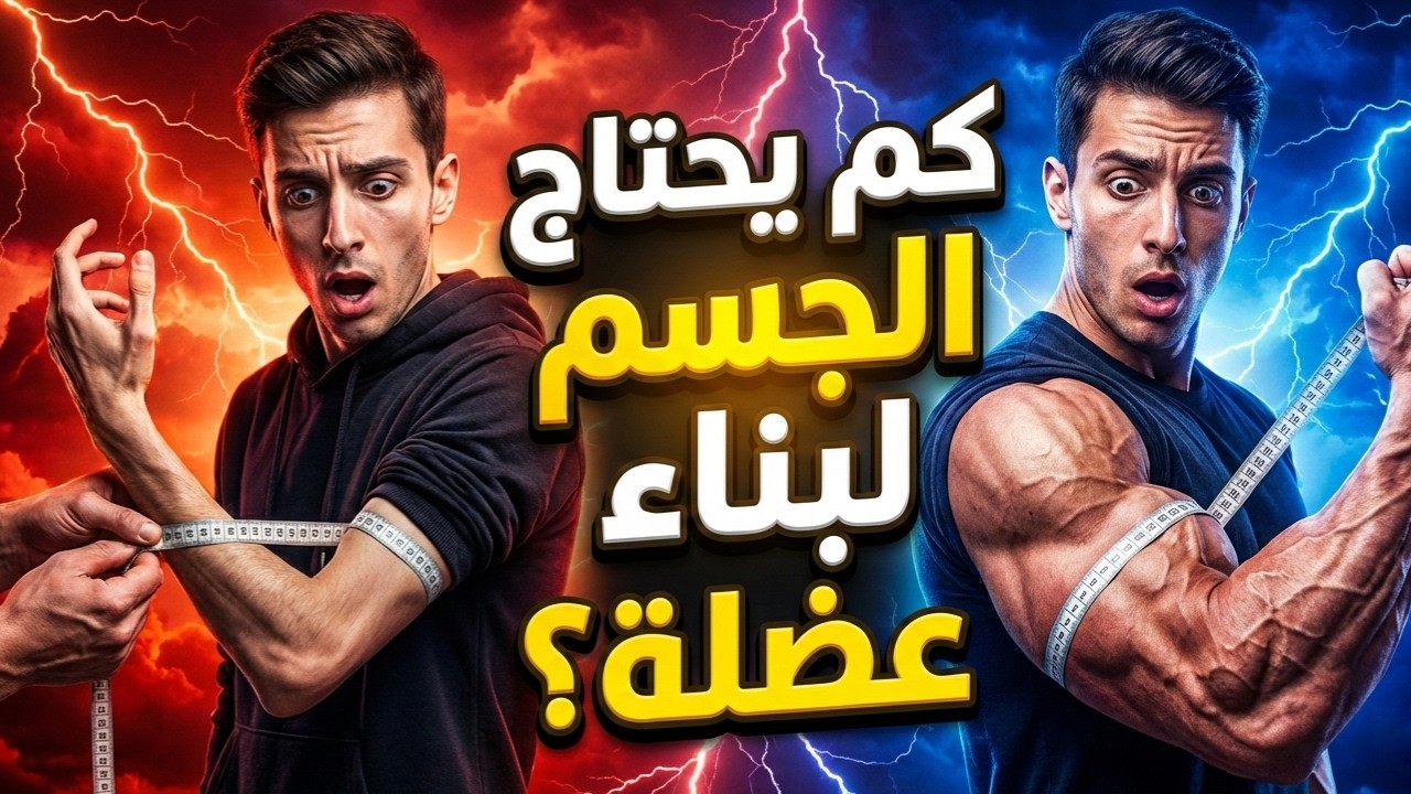 كم يحتاج الجسم لبناء عضلة؟ مدة تضخيم العضلات وزيادة الكتلة العضلية ووقت ظهور النتائج