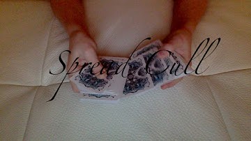 Hofzinser Spread Cull | Card Control | Magic 4 Noobs