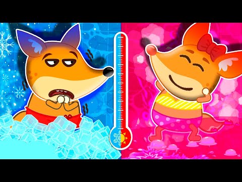 Desafio quente e frio con Familia de Raposa - seja corajosa lucy! Animados para crianças #191