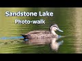 Sandstone Lake Wildlife Photo-walk 21st February 2021