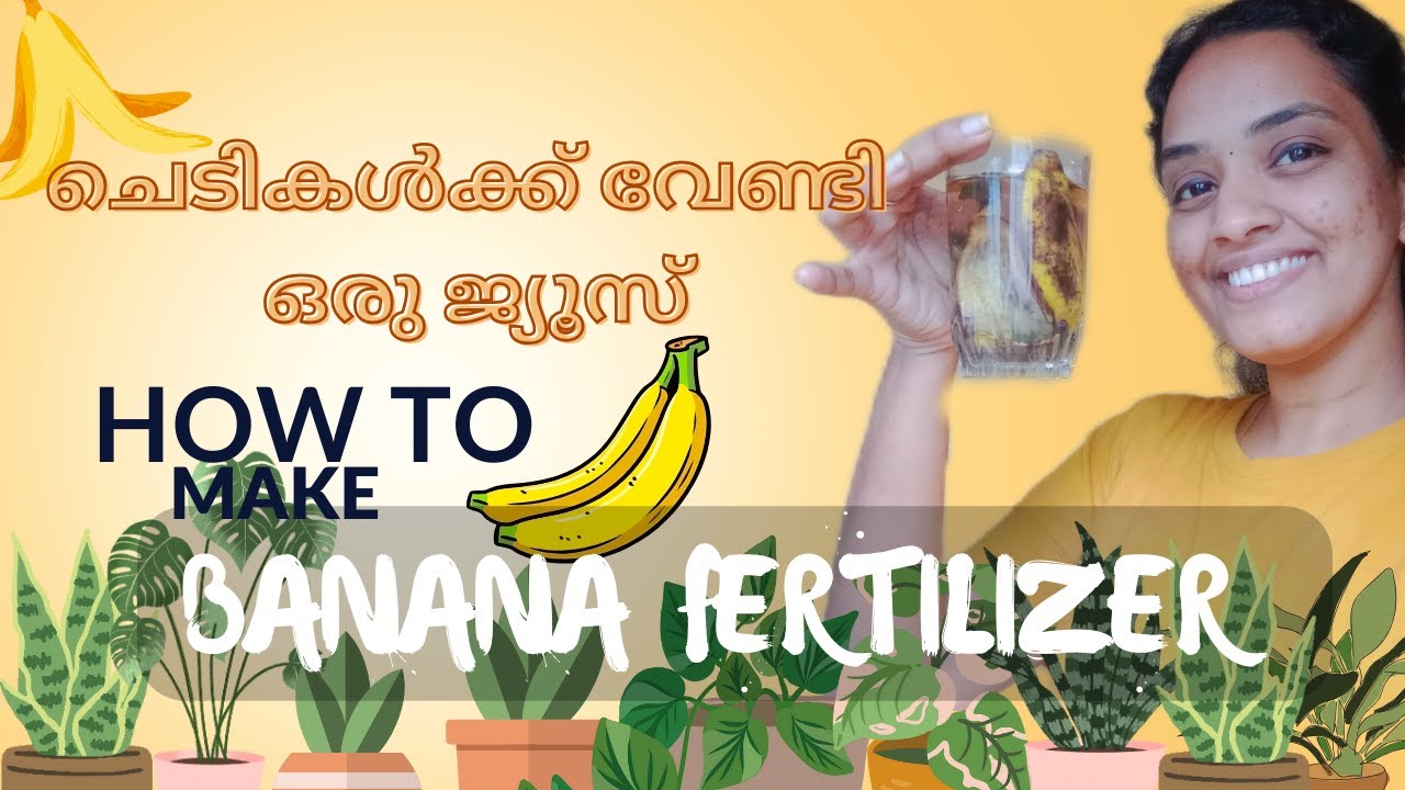 BANANA FERTILIZER MALAYALAM 2023 a wave's stories plantcaremalayalam fertilizermalayalam