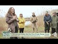 Fifth Annual Green Up the Pine Street Barge Canal