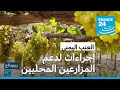 أفضل أنواع العنب تزرع في اليمن فرانس 24 FRANCE 24 