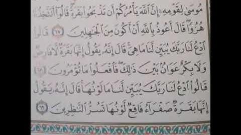 17 احفظ معنا سورة البقرة (67~69) بالتكرار والربط