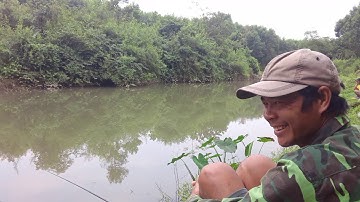 Câu Cá Thác Lác Đồng Mùa Nước Ngập Mặn Khô Cằn