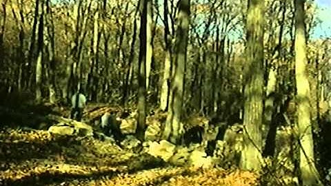 Building Dry Stone Retaining Walls