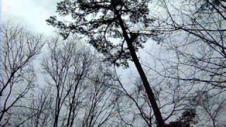 Quick Zipline Part 1.Avi