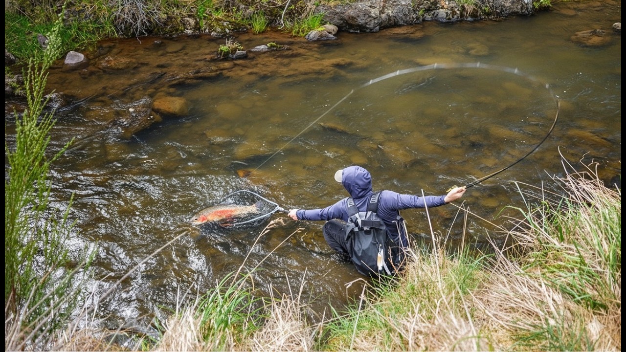 ЛУЧШАЯ нахлыстовая рыбалка, которую я когда-либо пробовал!