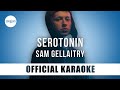 Sam Gellaitry - SEROTONIN (Official Karaoke Instrumental) | SongJam