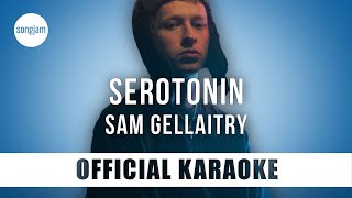 Sam Gellaitry - SEROTONIN (Official Karaoke Instrumental) | SongJam