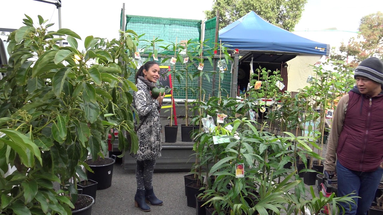 Canning Vale Markets, Western Australia.