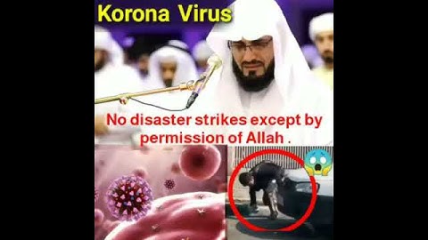 😓اجمل تلاوة للقارئ رعد الكردي سكينة لا يوصف ما تيسر من سورة التغابن راحة نفسية ، ما اصاب من مصيبة