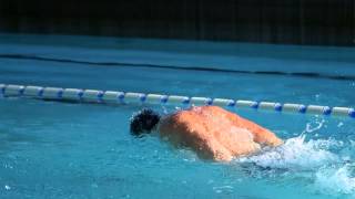 バタフライの泳ぎ方やコツを動画を交えて解説 Swimminglovers 水泳愛好家のブログ