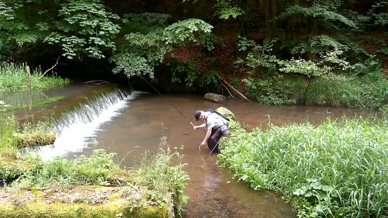 Tenkara Ebs - Geht nix unter dem Wehr? Fische oberhalb!