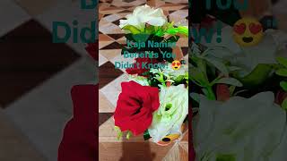 "Kaja Namaz Benefits You Didn't Know! 😍" PART -1