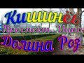 Кишинев, Ботаника, Проспект Мира, Долина роз + авария небольшая на 54:12 минуте