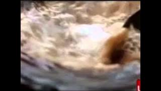 Download lagu Iklan Kapal Api Krim