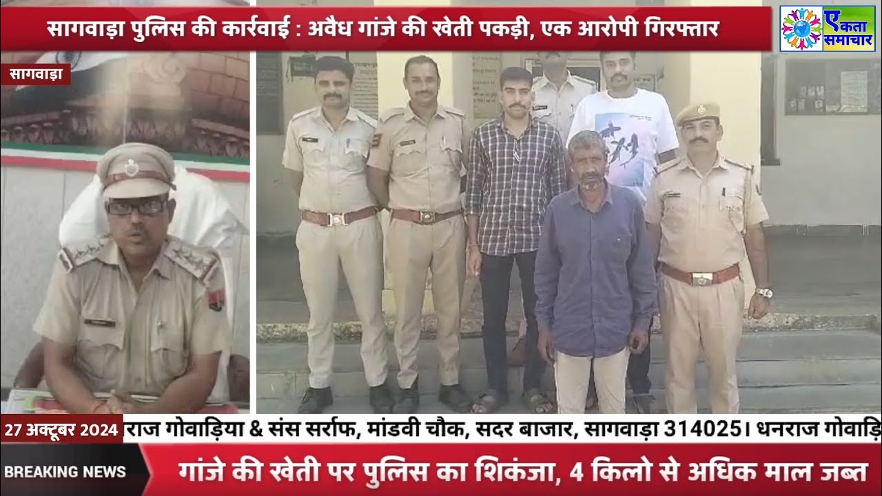 सागवाड़ा पुलिस की कार्रवाई : अवैध गांजे की खेती पकड़ी, एक आरोपी गिरफ्तार