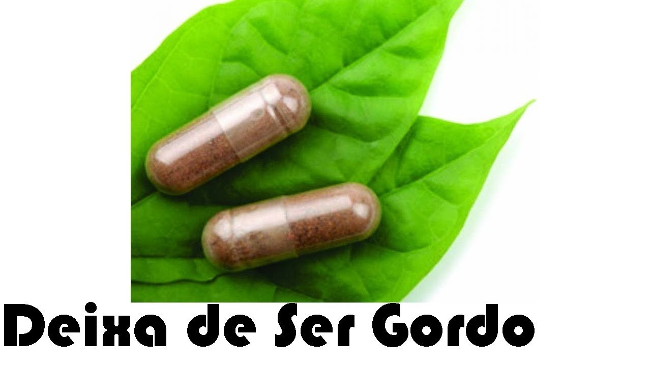 Pholia Magra Funciona? - DSG 