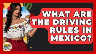What Are The Driving Rules In Mexico? - Magical Mexico Moments