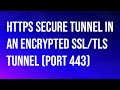 VMware\Omnissa Horizon HTTP(s) Secure Tunnel in an encrypted SSL/TLS tunnel.