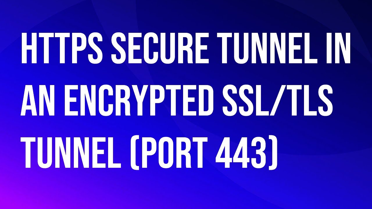 VMware\Omnissa Horizon HTTP(s) Secure Tunnel in an encrypted SSL/TLS tunnel.